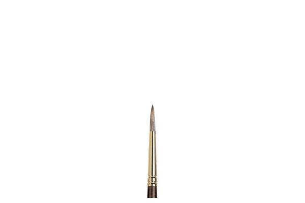 Monarch brush round long size 6